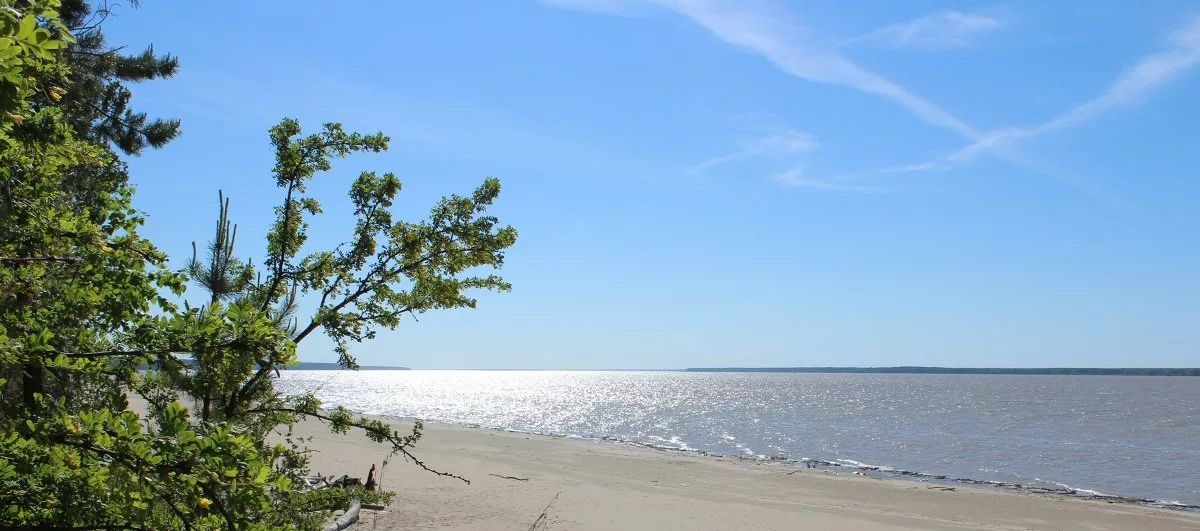 Прогулки на катерах и яхтах по Обскому морю